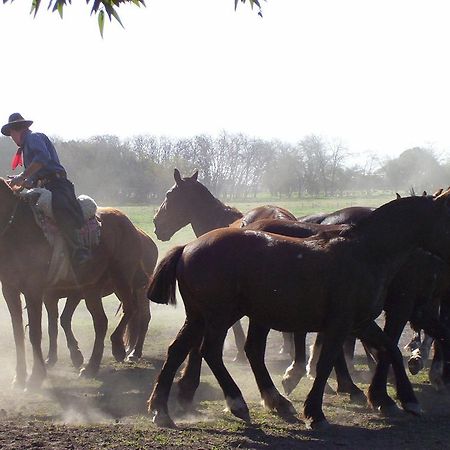 Estancia Don Silvano Pensjonat Diego Gaynor Zewnętrze zdjęcie