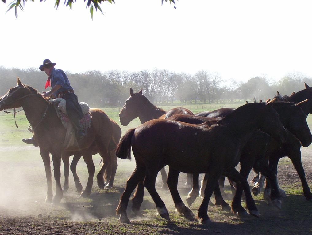 Estancia Don Silvano Pensjonat Diego Gaynor Zewnętrze zdjęcie
