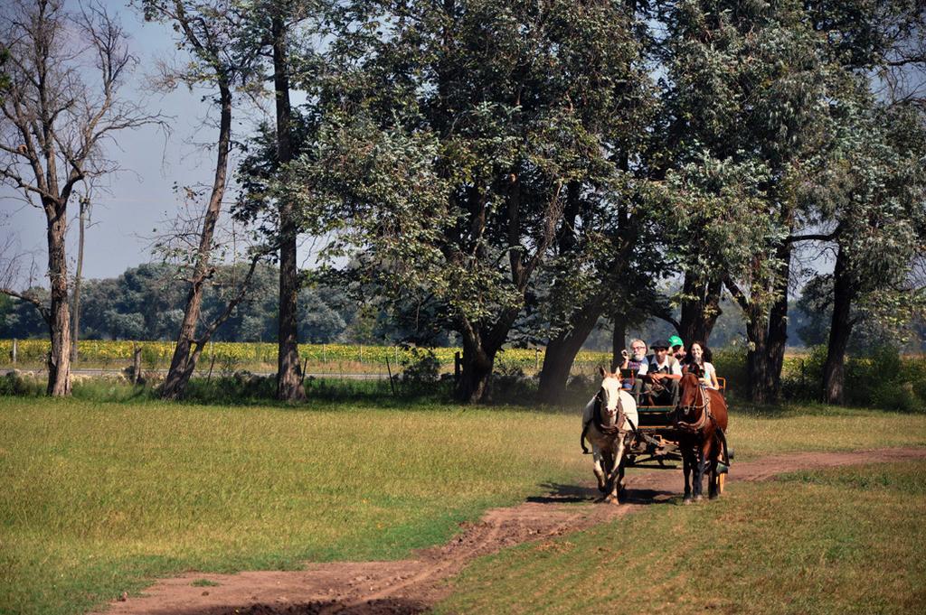 Estancia Don Silvano Pensjonat Diego Gaynor Zewnętrze zdjęcie